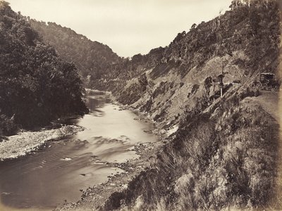 Desfiladero de Manawatu a 1 milla del puente, 1878 de James Bragge